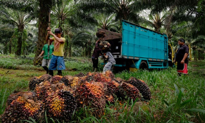 Screenshot 2025-05-30 065548