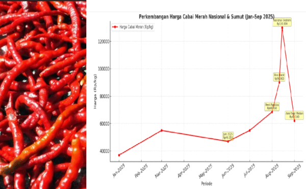 Screenshot 2025-09-04 111231