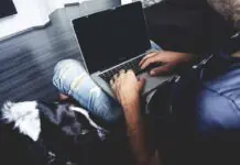 2013 Kia Soul Hamster Commercial Gangnam