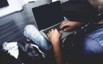 2013 Kia Soul Hamster Commercial Gangnam